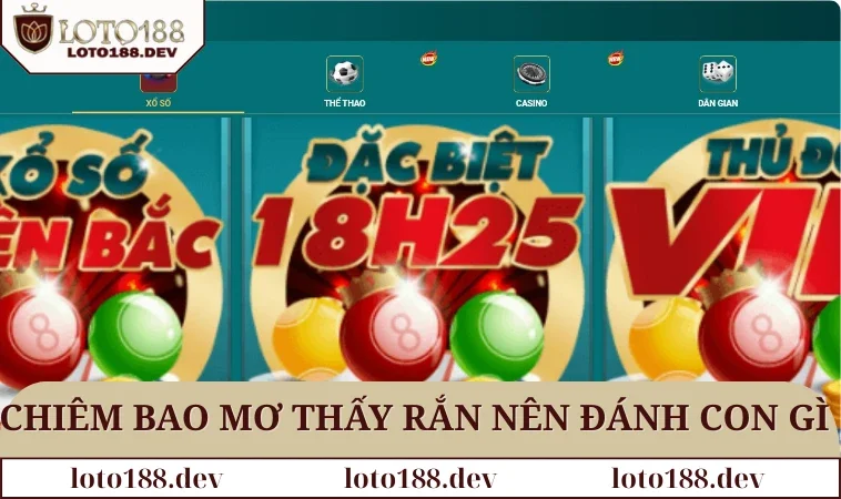 Chiêm bao mơ thấy rắn nên đánh con gì hợp lý nhất