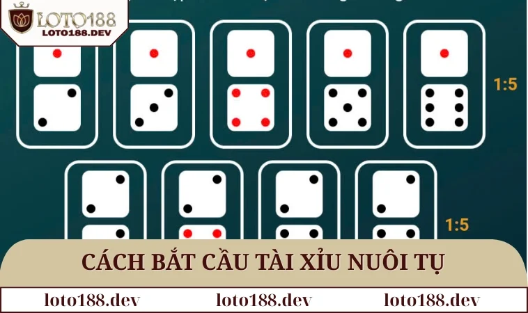 Cách Bắt Cầu Tài Xỉu Chuẩn Xác, Dễ Hiểu Cho Tân Binh 2025 1 Hướng dẫn cách bắt cầu Tài xỉu nuôi theo tụ