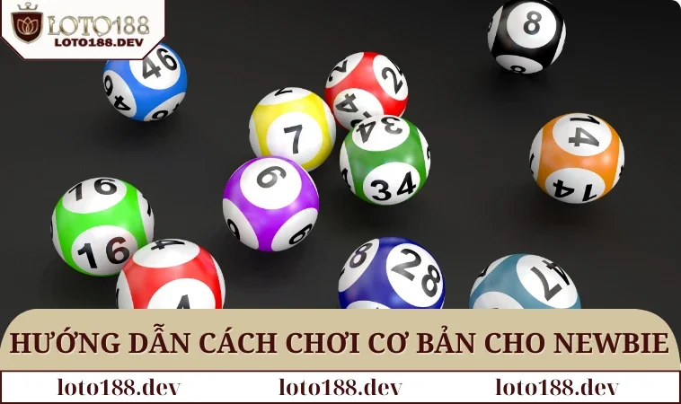 Hướng Dẫn Soi Cầu Lô Kép Trúng Giải Độc Đắc Cực Dễ 3 Hướng dẫn cách chơi cơ bản cho newbie