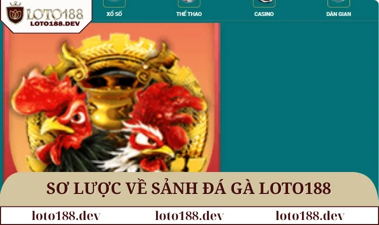 Đá gà LOTO188 1 Sơ lược về sảnh đá gà LOTO188