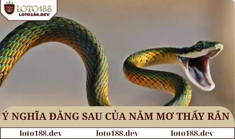 Ý nghĩa đằng sau của nằm mơ thấy rắn là gì mới nhất 2025
